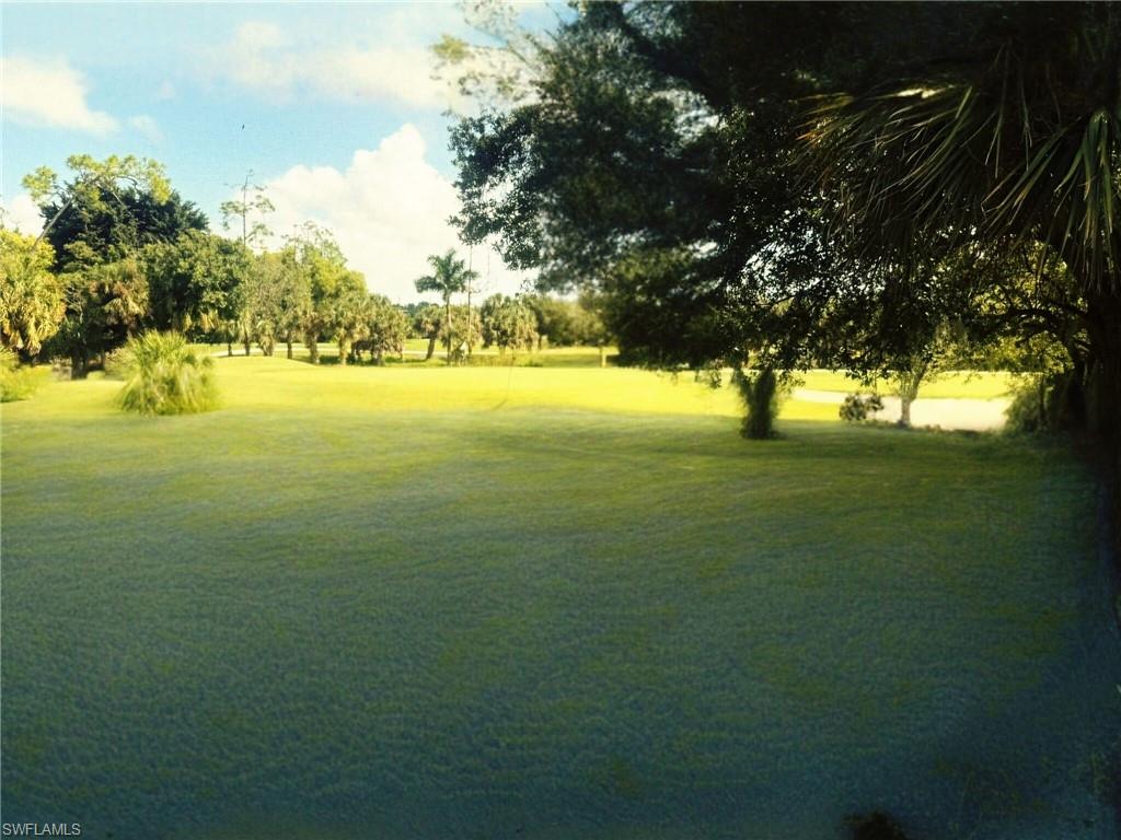 View of green lawn