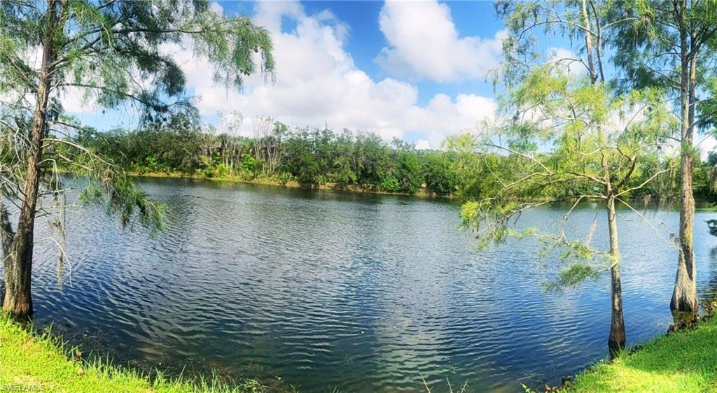 Water view