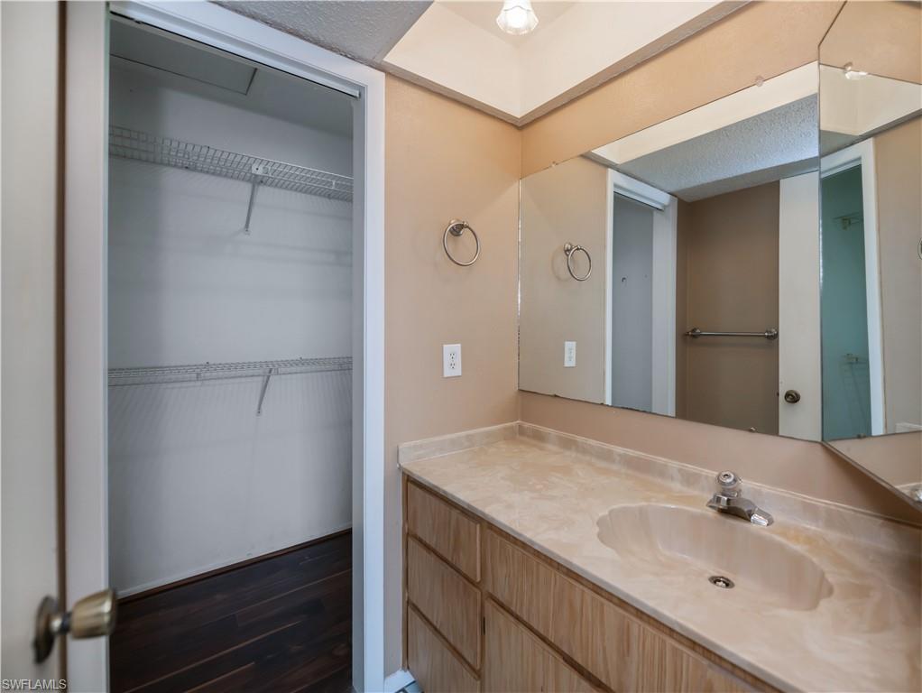 Bathroom featuring vanity, a walk in closet, and dark wood finished floors