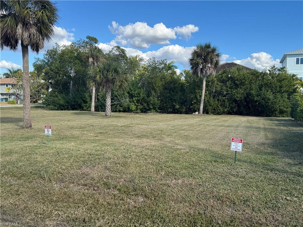 View of grassy yard