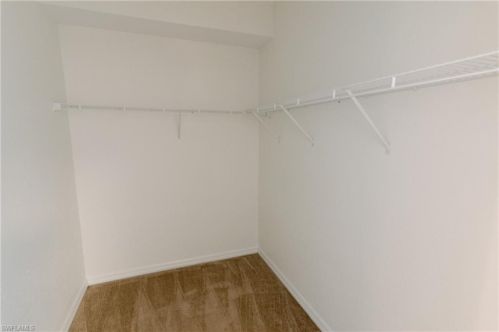 Spacious closet with carpet