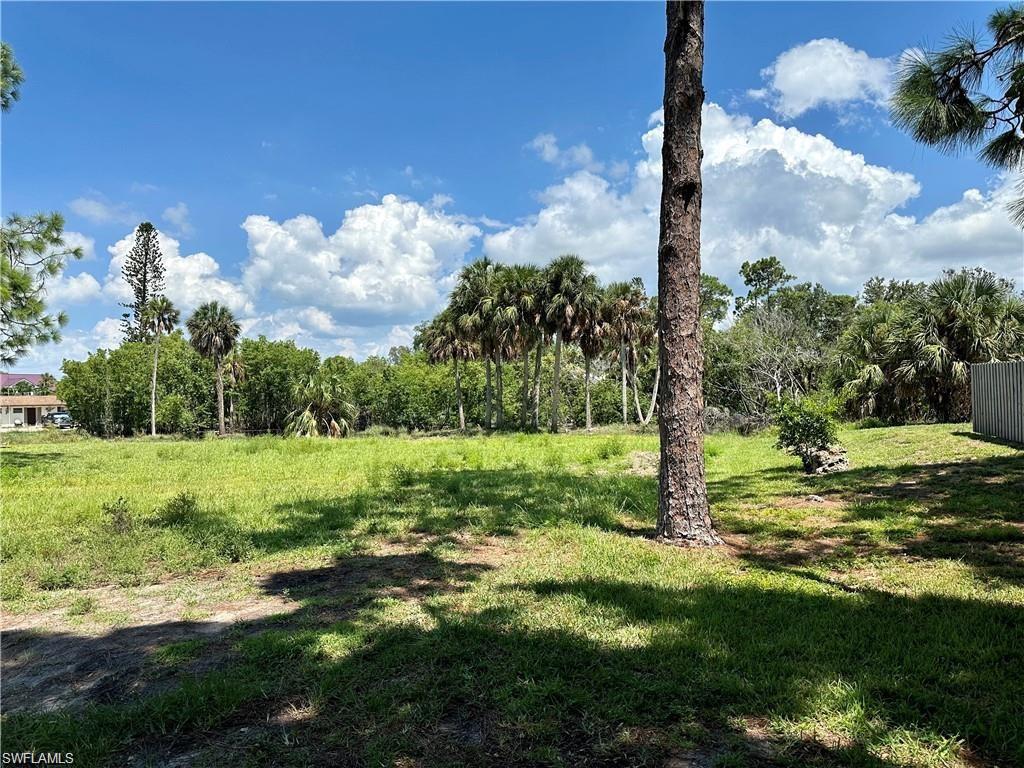 Another view of the land