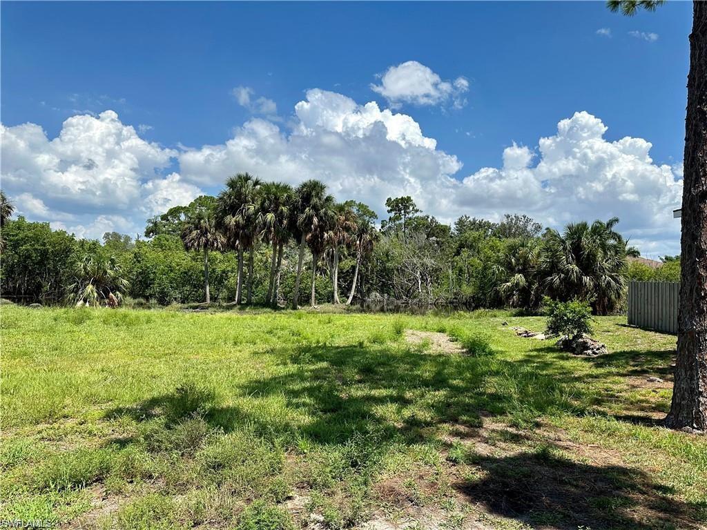 Cleared Land