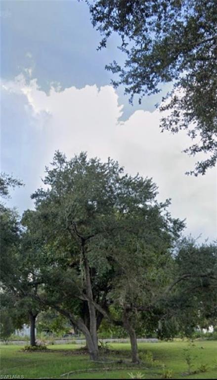 View of undeveloped land