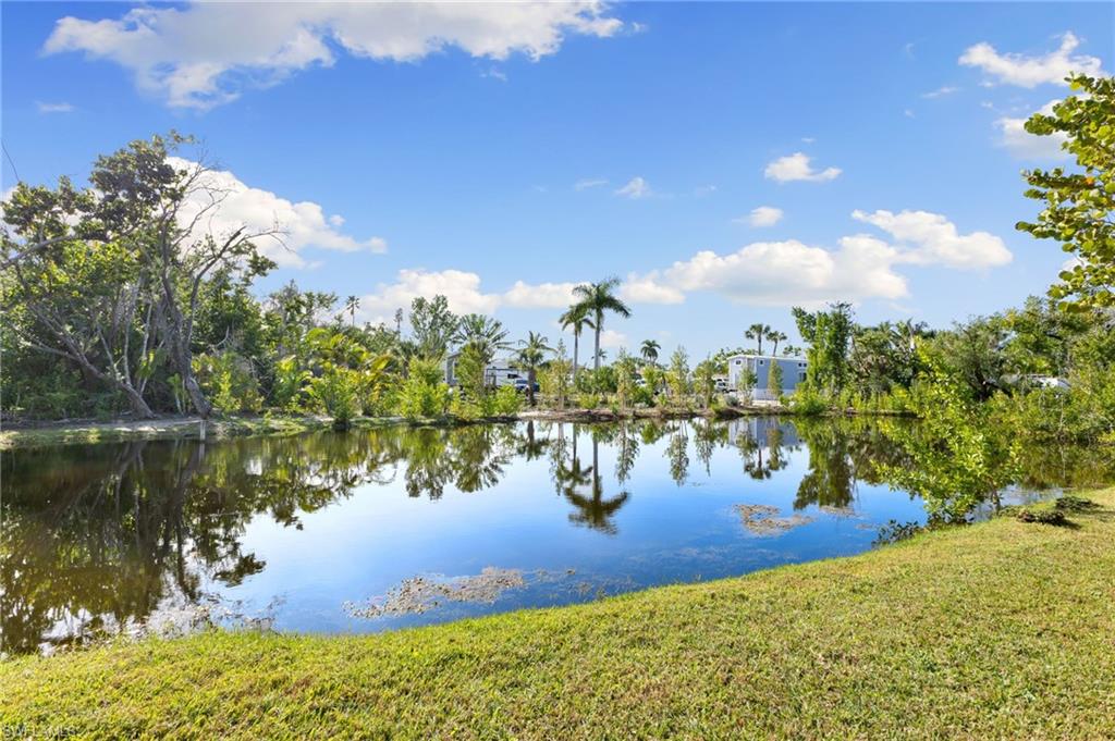 Water view