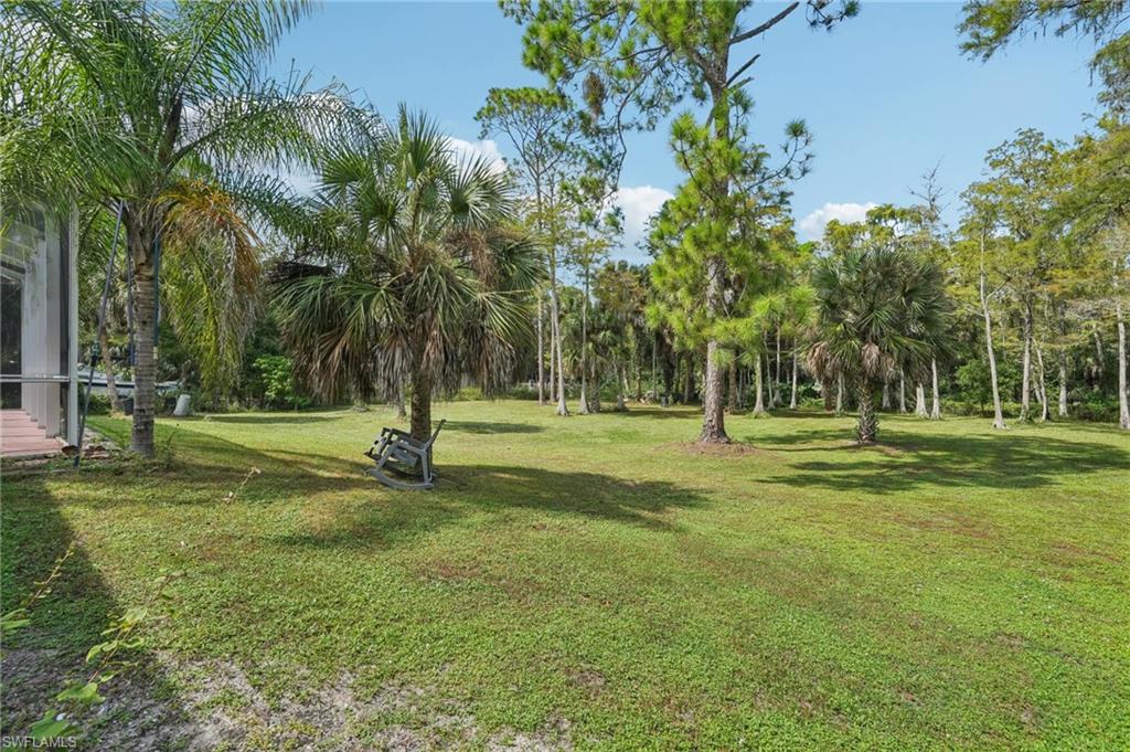 View of grassy yard