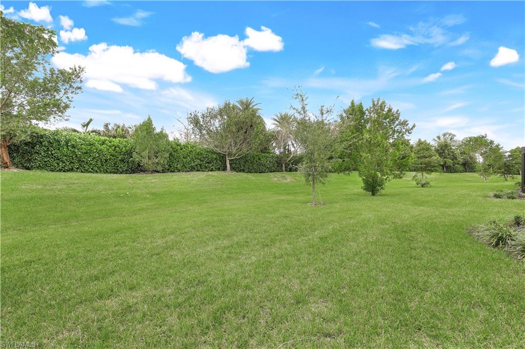 View of green lawn