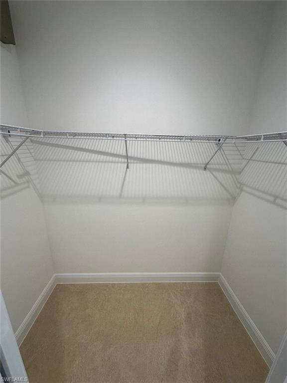 Walk in closet with light colored carpet