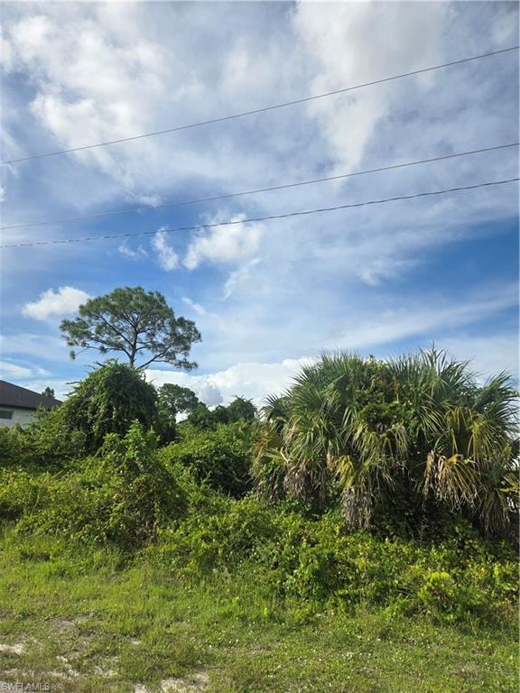 View of nature