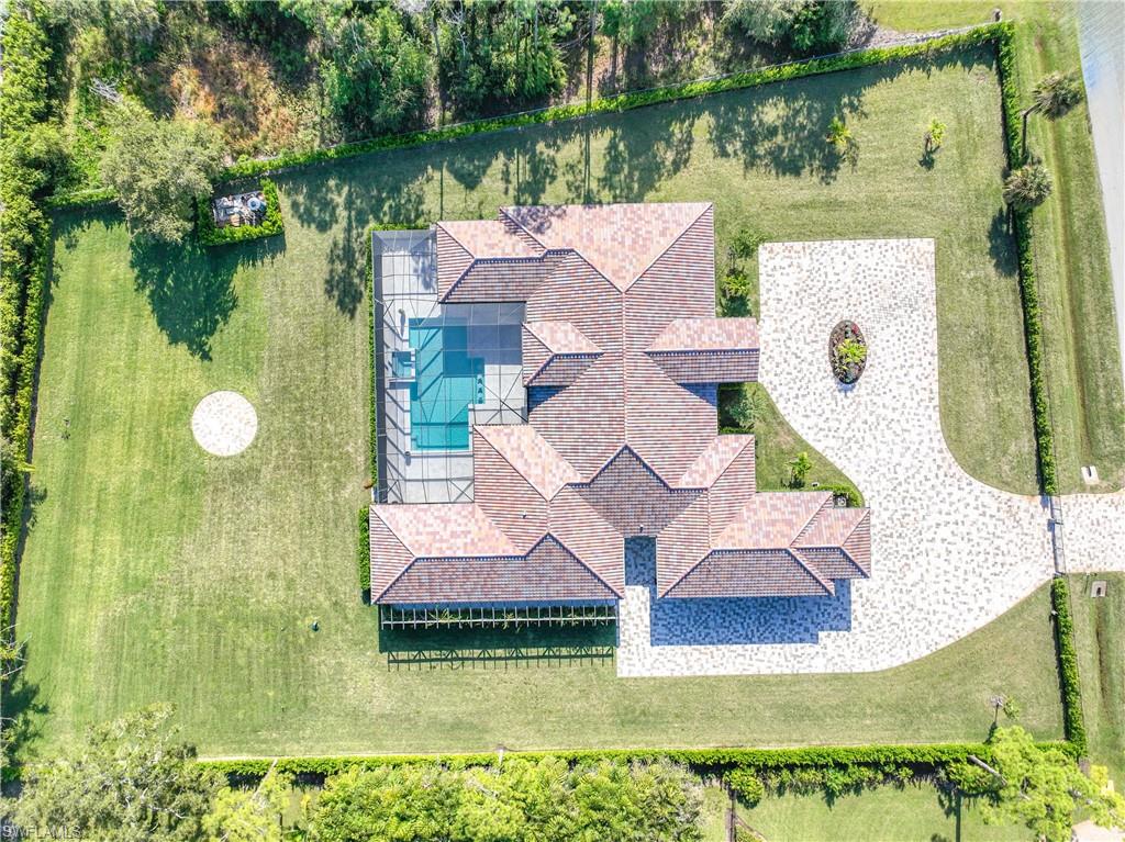 590 Carica RD photo 7