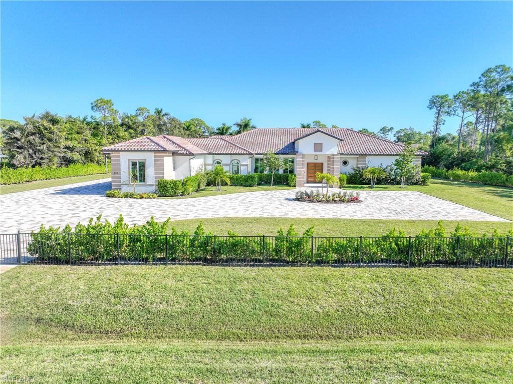 590 Carica RD photo 9