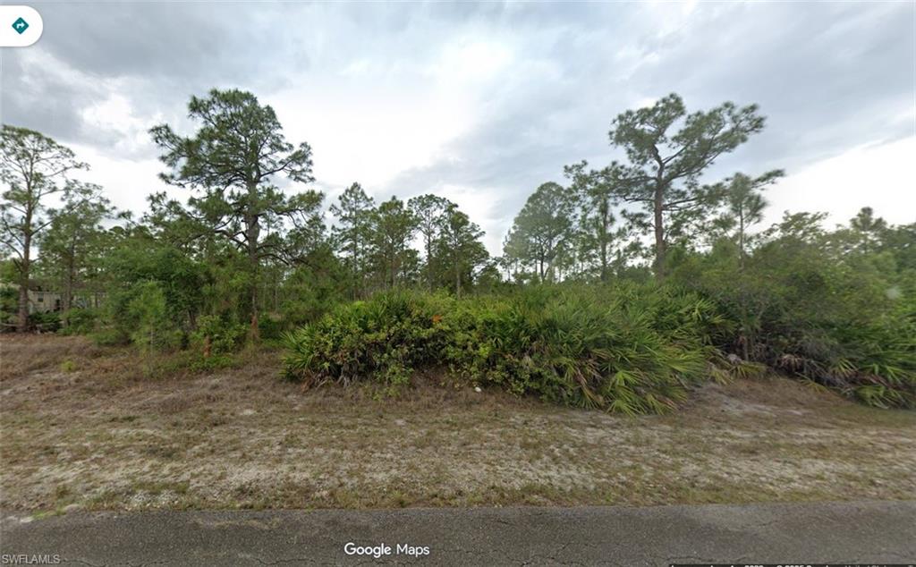 View of wooded area