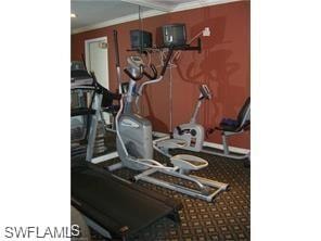 Gym with crown molding and carpet flooring