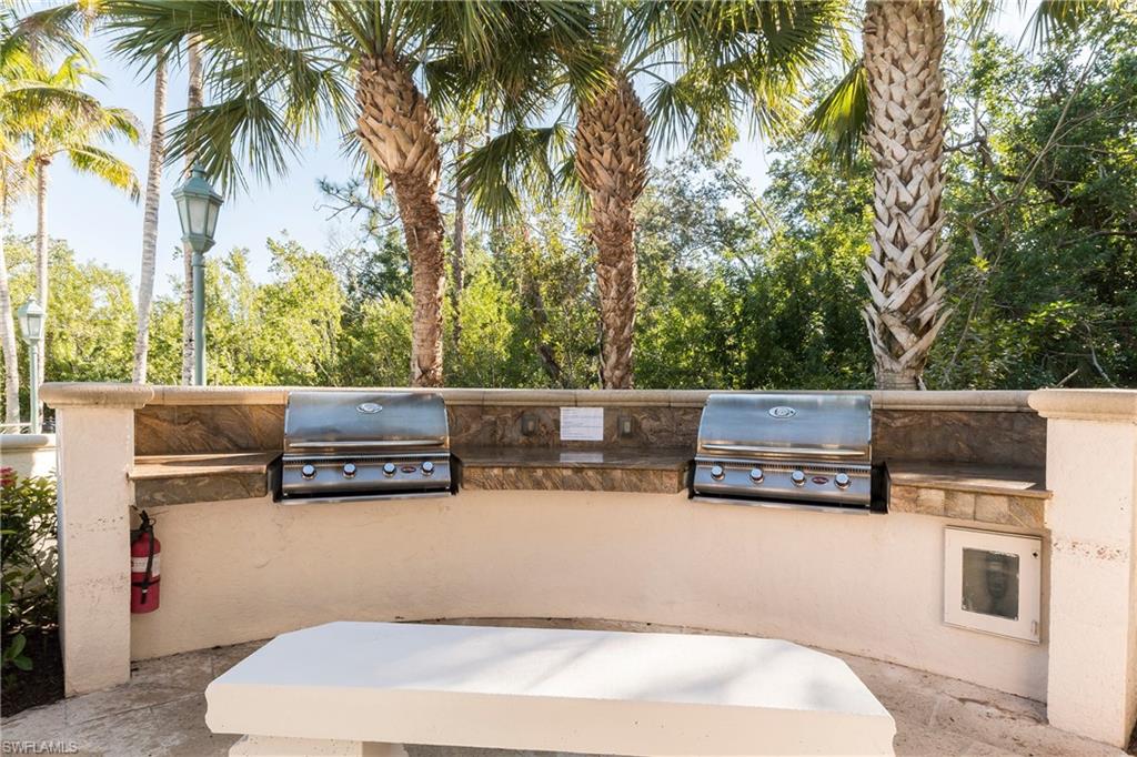 Gas grills