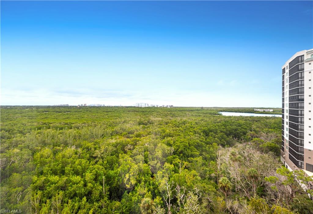 455 Cove Tower DR 1101 photo 30