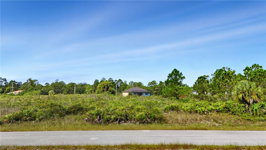 View of undeveloped land