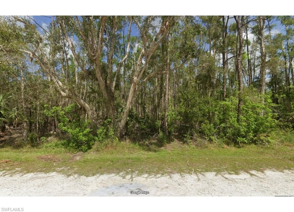 View of front of parcel, wooded area