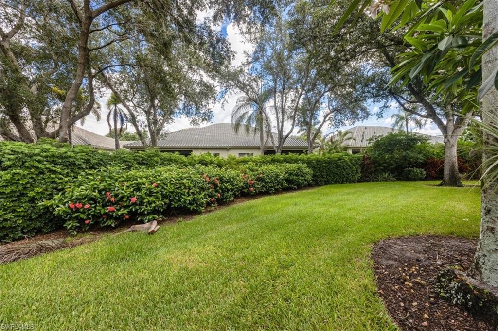 View of grassy yard