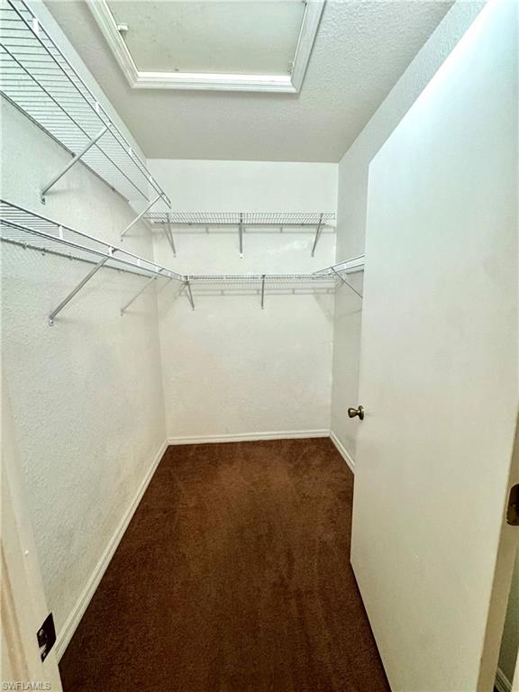 Spacious closet with dark carpet