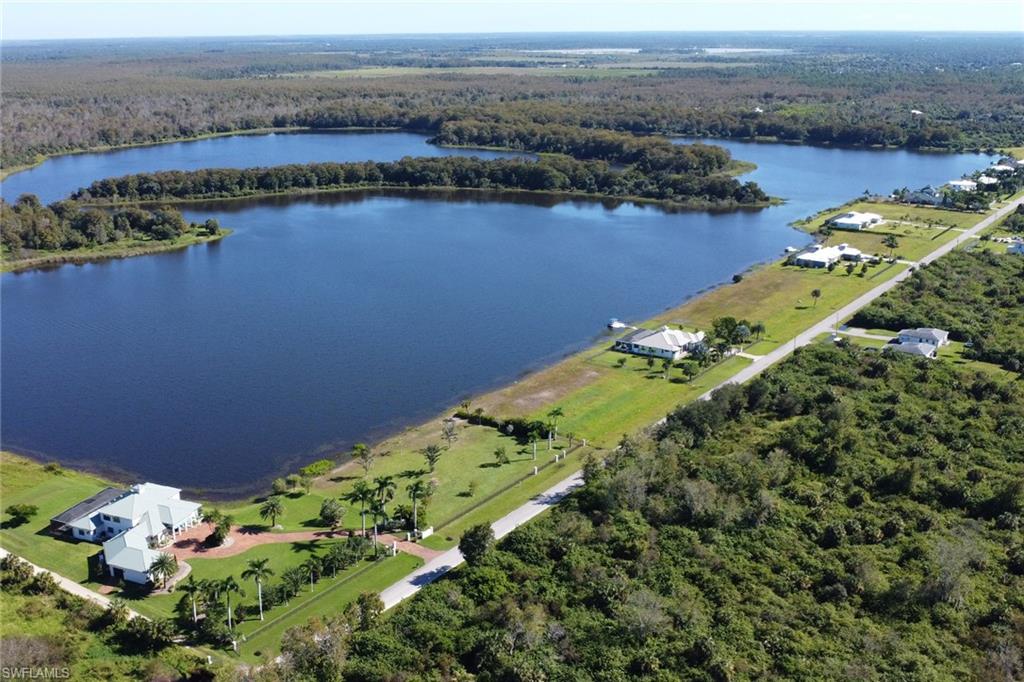 Aerial view of a forest and a large body of water