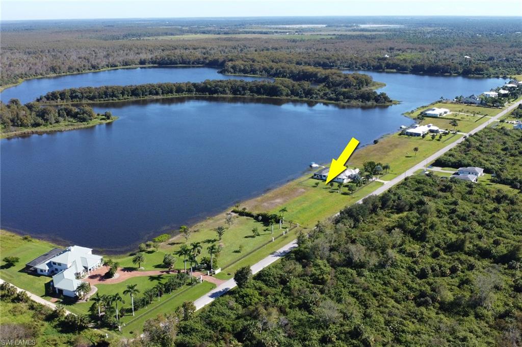 Bird's eye view of a forest and a nearby body of water