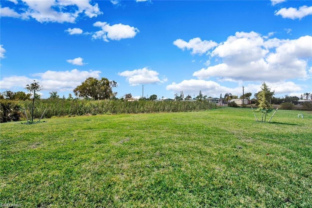 View of grassy yard