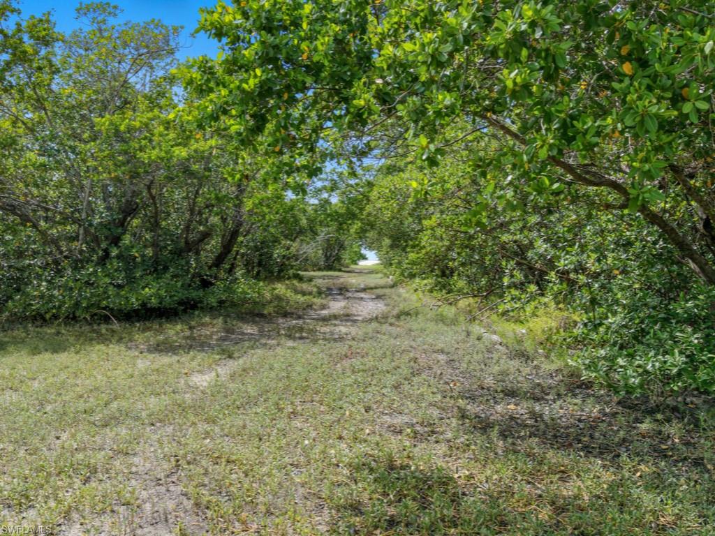 11799 Keewaydin photo 13