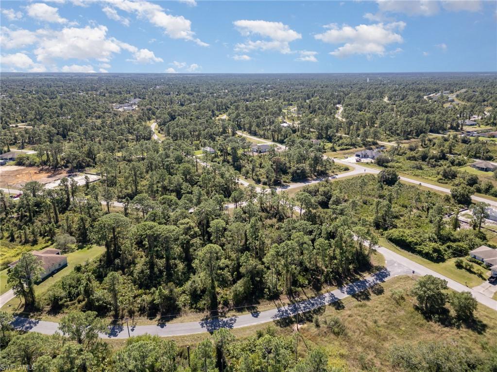 Bird's eye view of a forest