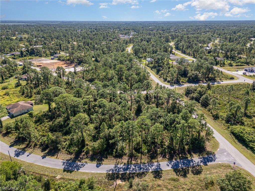 Aerial view of a forest
