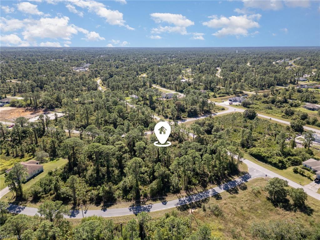 Aerial view of a forest