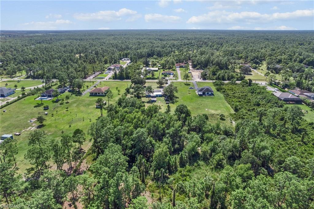 Aerial view of a forest