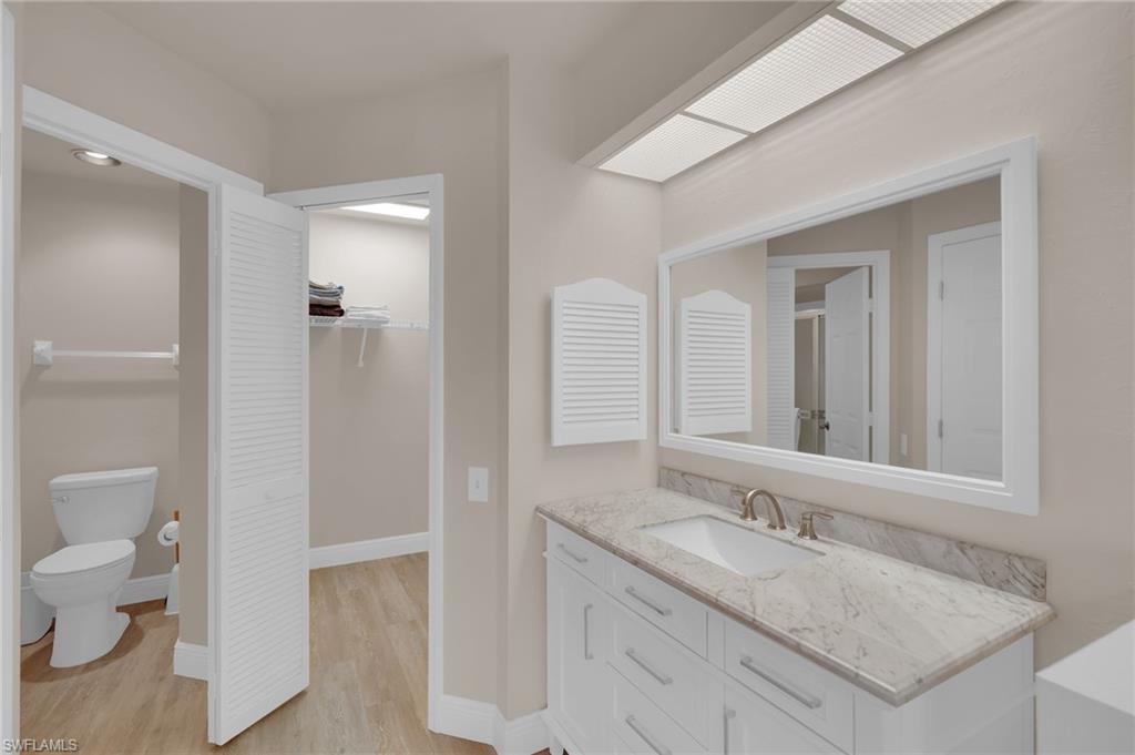 Primary bathroom featuring vanity, a walk in closet, and light wood-style flooring