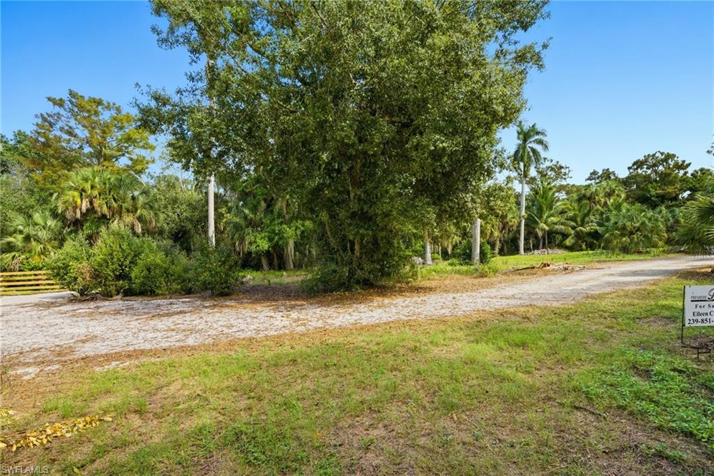 12025 Carpenter LN photo 27