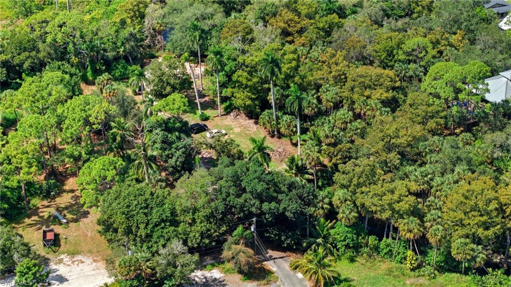 12025 Carpenter LN photo 13