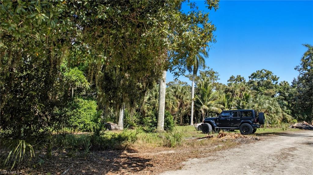 12025 Carpenter LN photo 26