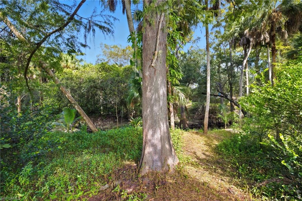 12025 Carpenter LN photo 32
