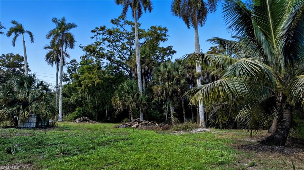 12025 Carpenter LN photo 20
