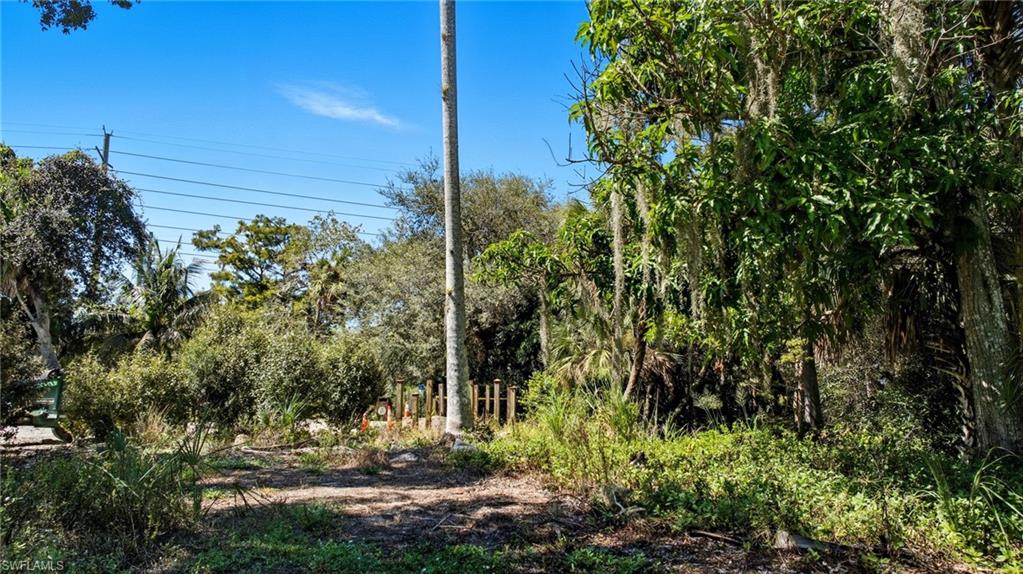 12025 Carpenter LN photo 24