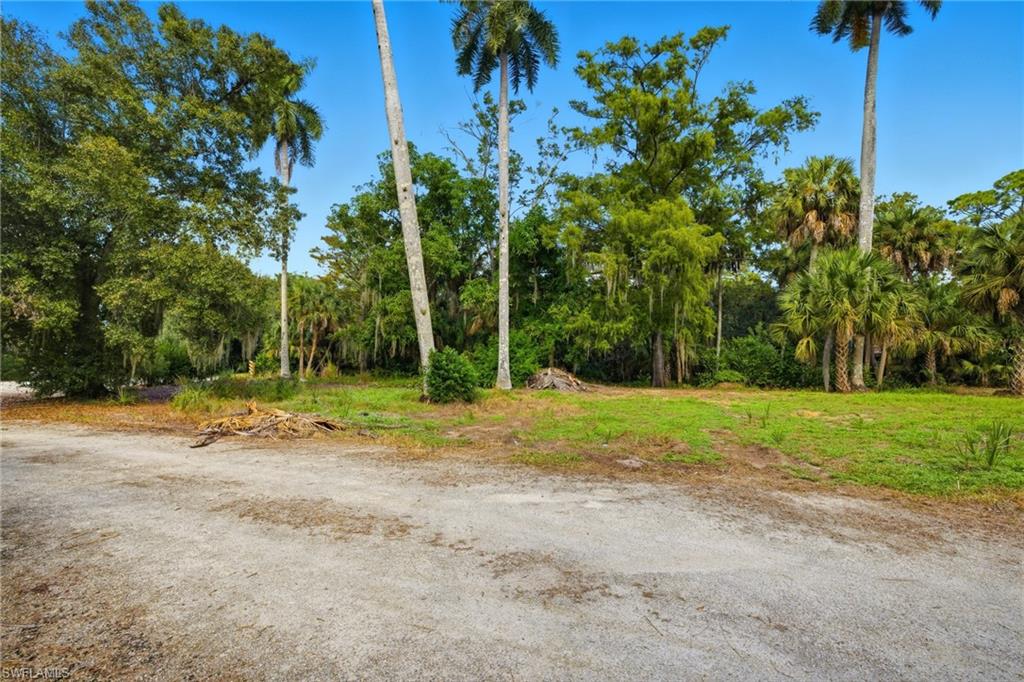 12025 Carpenter LN photo 30