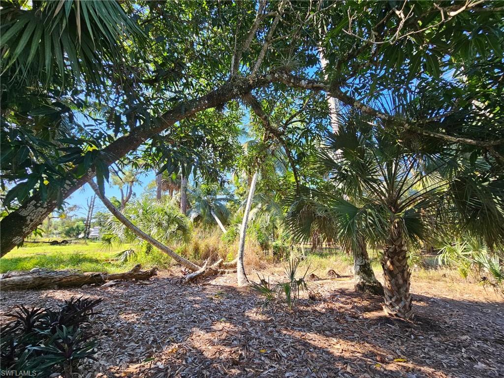 12025 Carpenter LN photo 37
