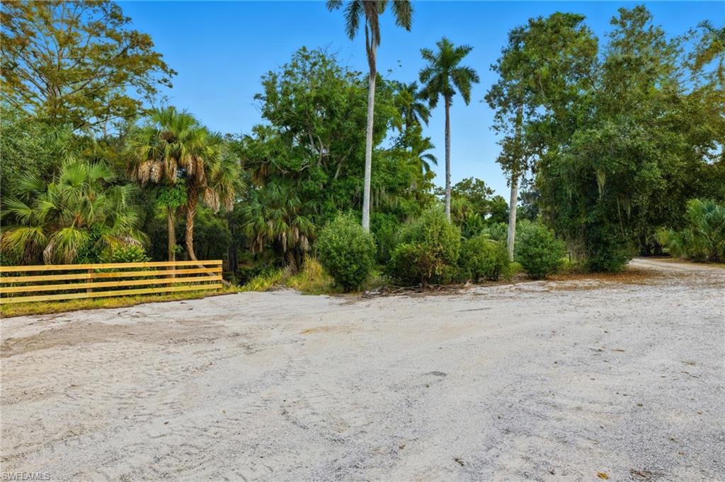 12025 Carpenter LN photo 35