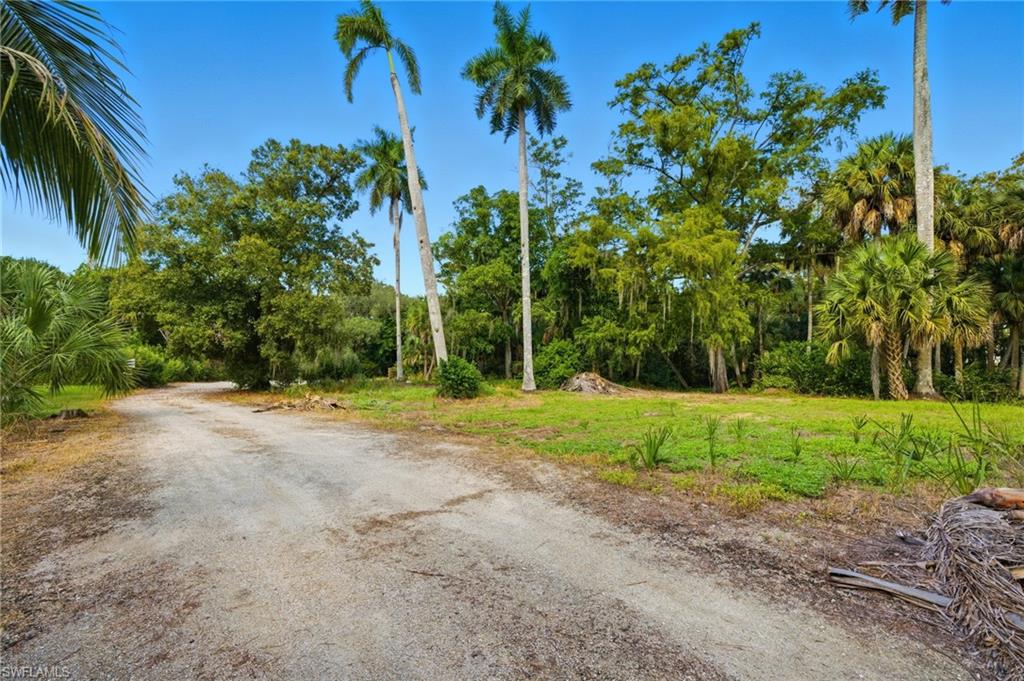 12025 Carpenter LN photo 31