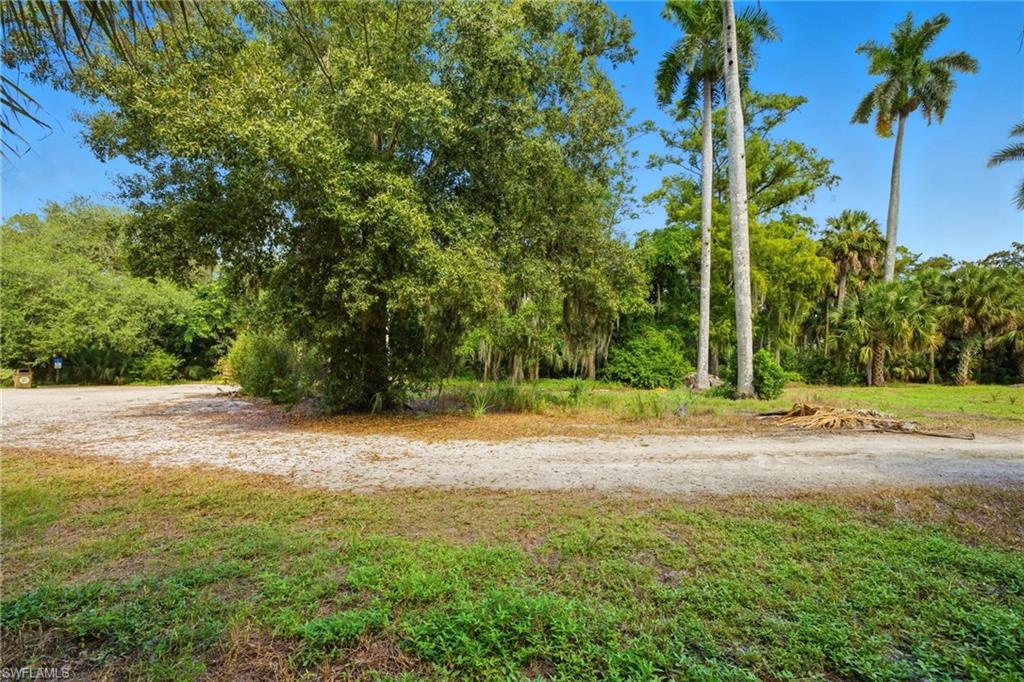 12025 Carpenter LN photo 29