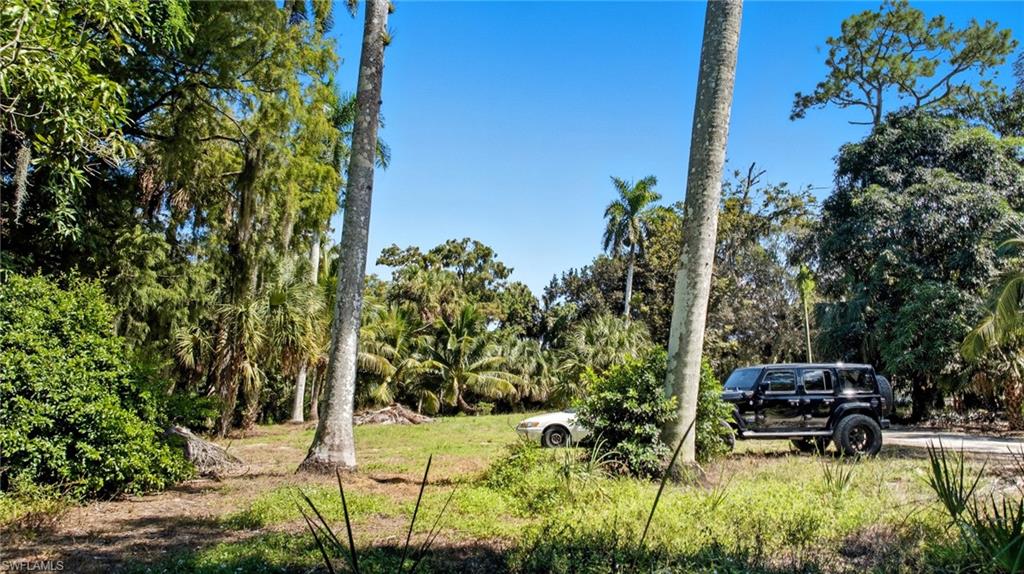 12025 Carpenter LN photo 25
