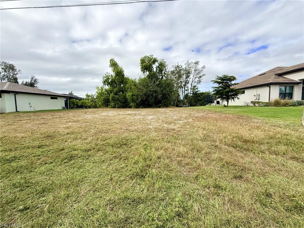 View of grassy yard