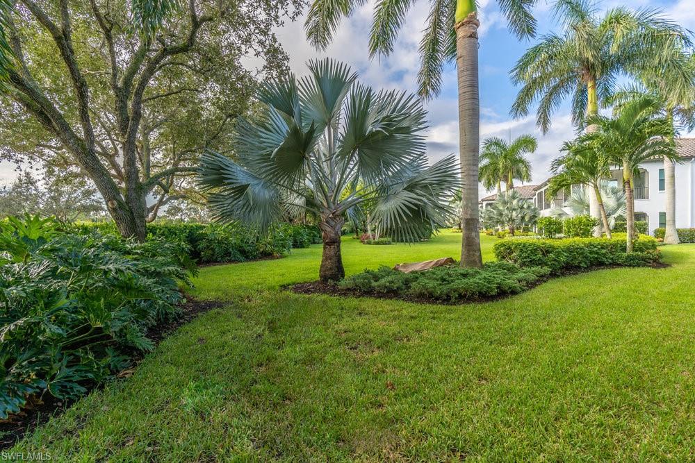 lush landscaping backyard