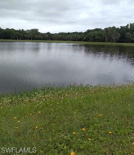 Harns Marsh