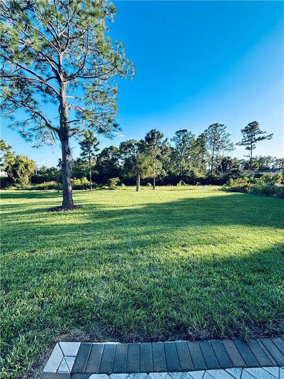 View of grassy yard