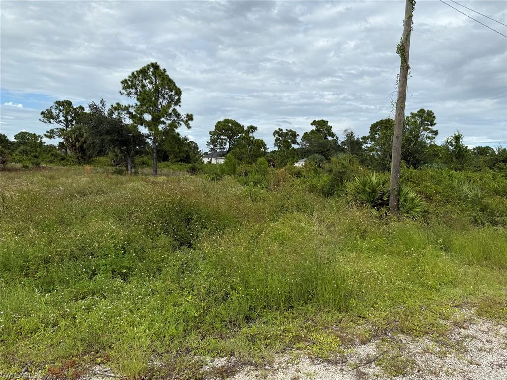 View of undeveloped land