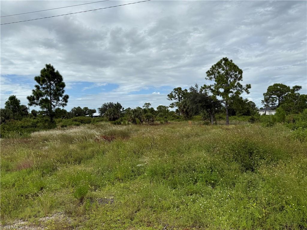 View of undeveloped land